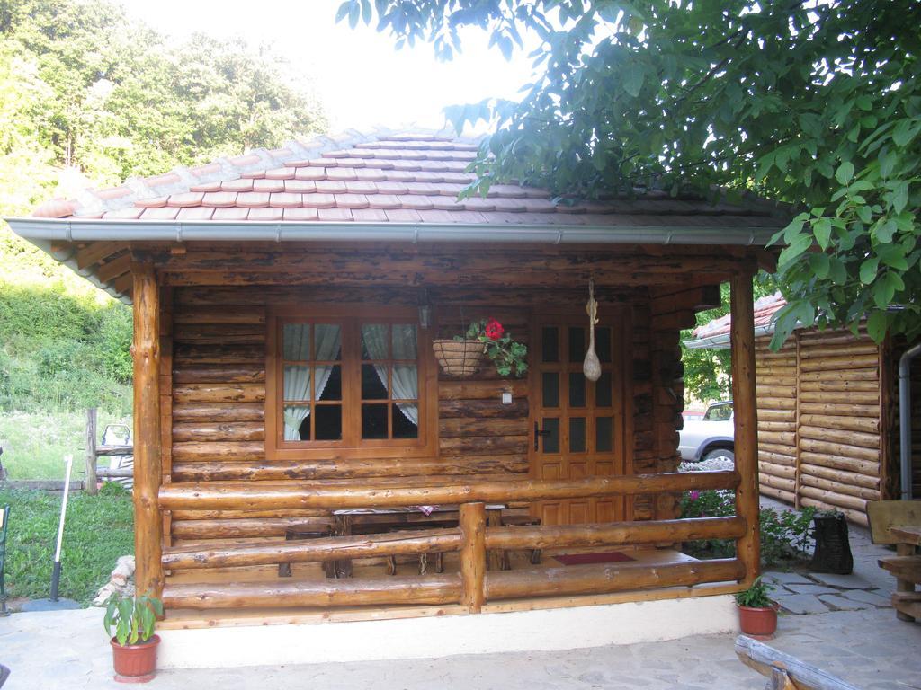 Apartments Izvor Lisine Strmosten Esterno foto