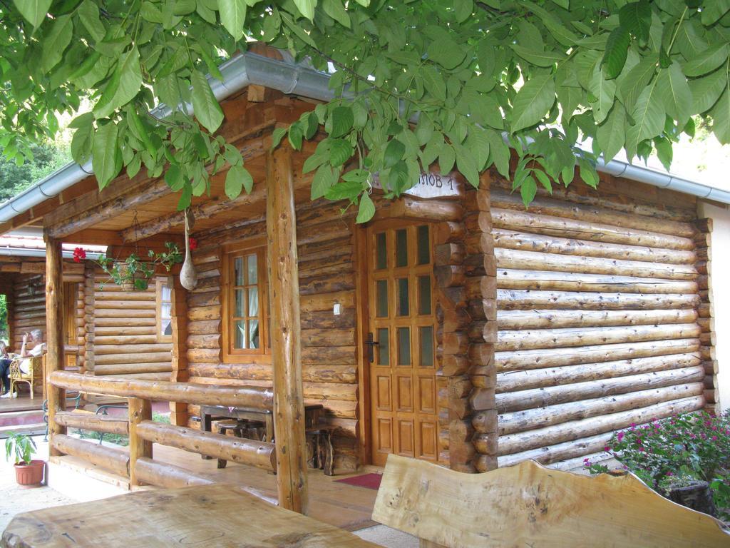 Apartments Izvor Lisine Strmosten Esterno foto